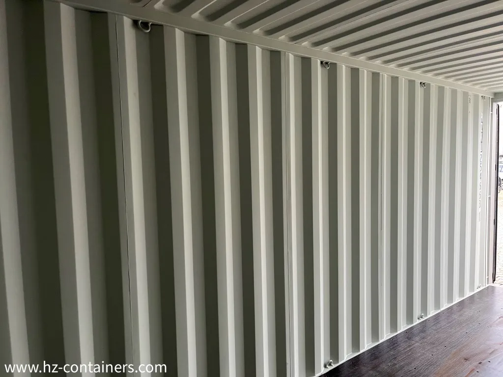 IICL 6 20ft Seecontainer, HZKU 254 663-1